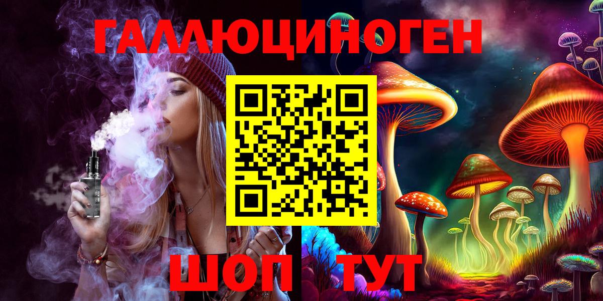 Галлюциногенные грибы Psilocybe Энгельс