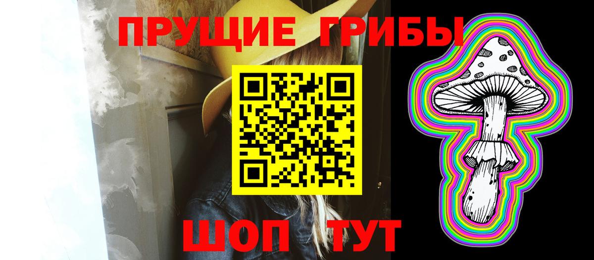 Энгельс  Псилоцибиновые грибы прущие грибы  Вход с VPN 